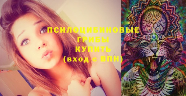 шишки Абаза