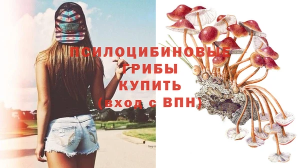 стаф Алексеевка