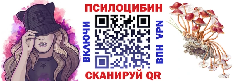 как найти   Чердынь  Псилоцибиновые грибы мицелий 